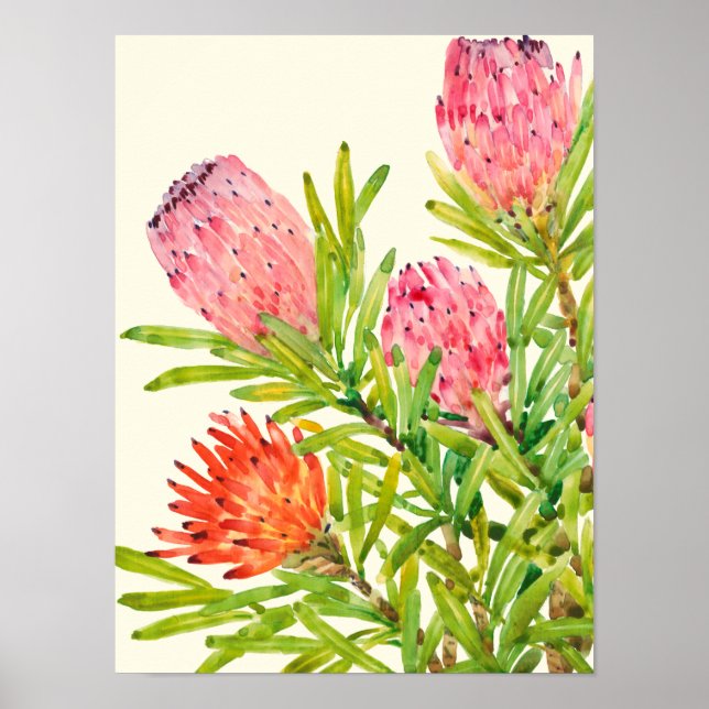 Affiches Aquarelle Fleurs tropicales (Devant)