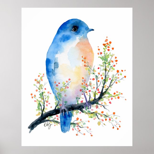 Affiches Aquarelle Oiseau bleu sur Berry Branch (Devant)