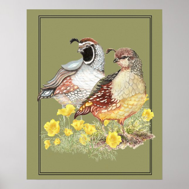 Affiches Aquarelle originale Californie Quail Homme & Femme (Devant)