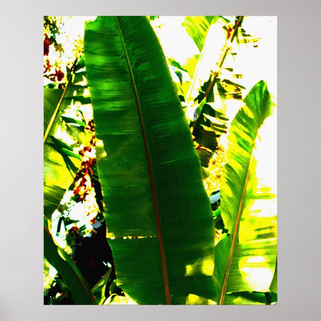 Affiches Aquarelle Palm (Devant)