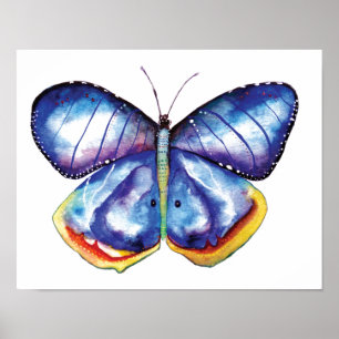 Affiches Aquarelle Papier d'affiche de valeur papillon Impr