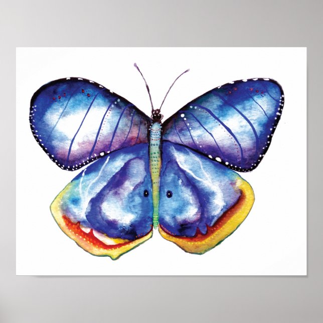 Affiches Aquarelle Papier d'affiche de valeur papillon Impr (Devant)