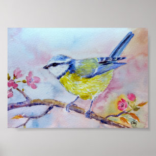Affiches Aquarelle Peinture Bluetit Oiseau bleu