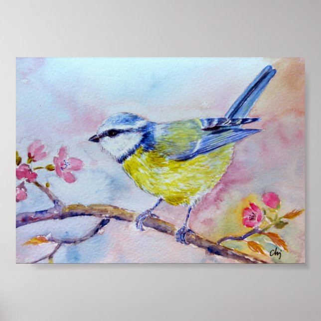 Affiches Aquarelle Peinture Bluetit Oiseau bleu (Devant)
