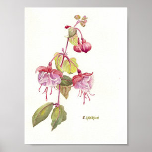 Affiches Aquarelle rose et violet fuschia