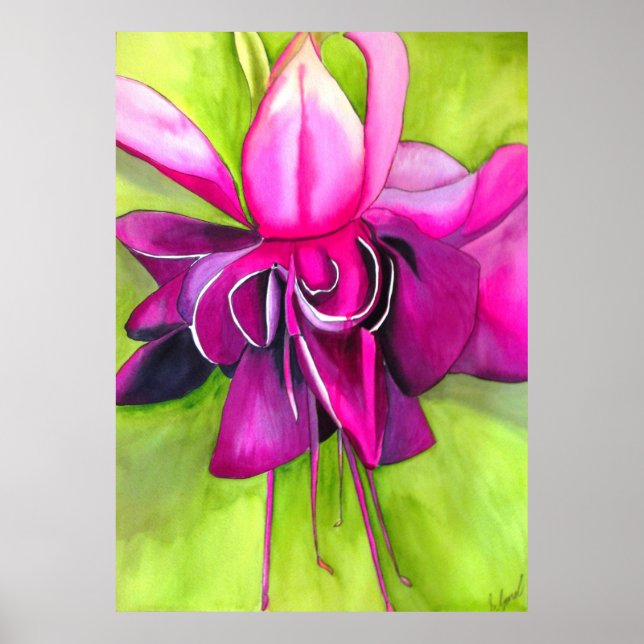 Affiches Aquarelle rose Fuchsia (Devant)