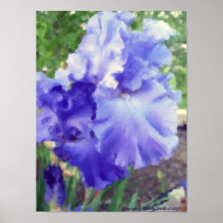 Affiches Aquarelle violette Iris