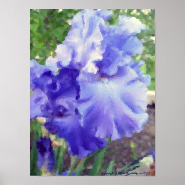 Affiches Aquarelle violette Iris (Devant)
