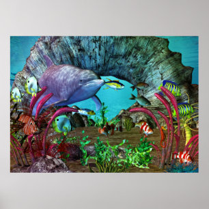 Affiches Aquarium 3D Dolphin Discovery 2