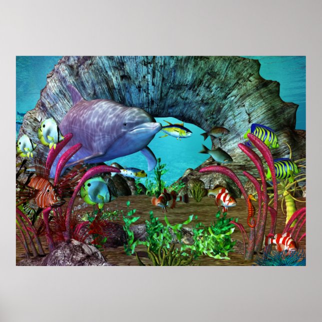 Affiches Aquarium 3D Dolphin Discovery 2 (Devant)