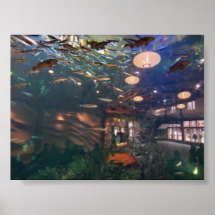 Affiches Aquarium de Seattle
