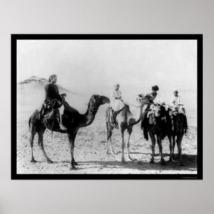 Affiches Arabes à dos de chameaux dans le désert du Sahara