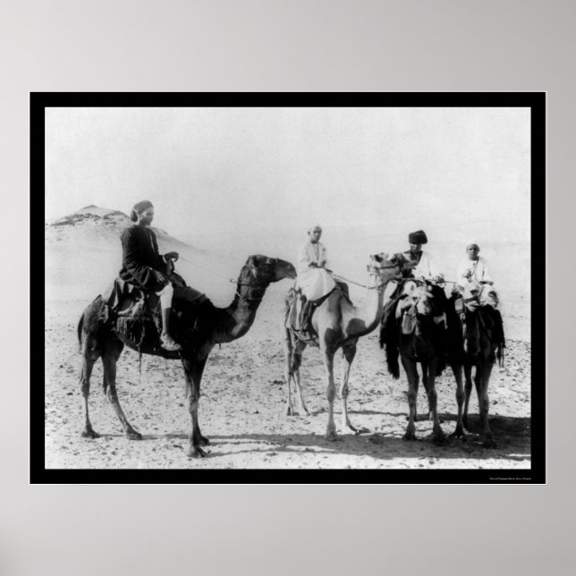 Affiches Arabes à dos de chameaux dans le désert du Sahara  (Devant)
