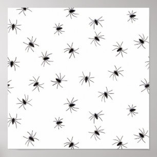 Affiches Araignées