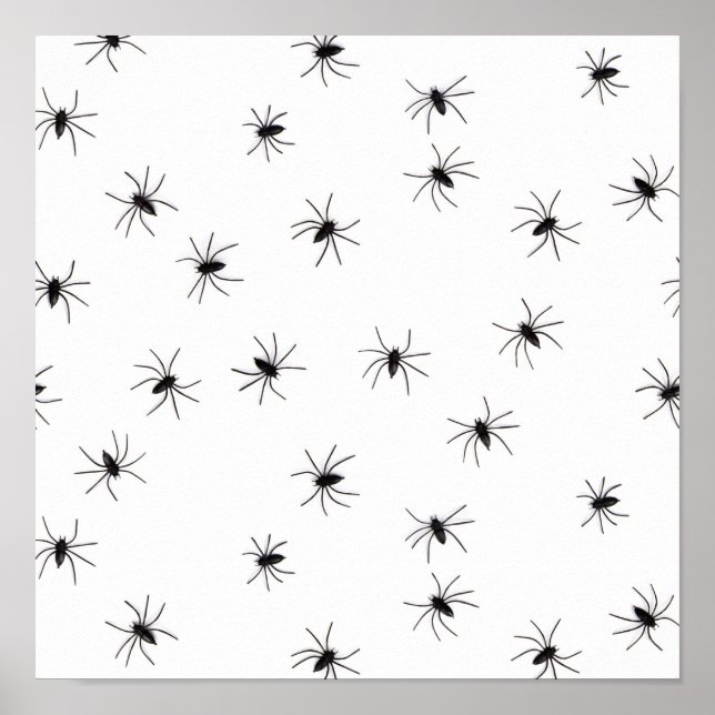 Affiches Araignées (Devant)