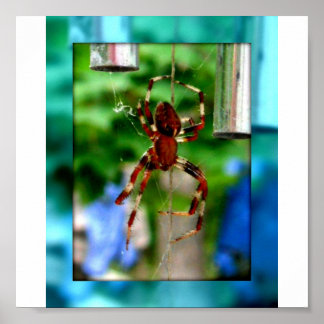 Affiches araignées