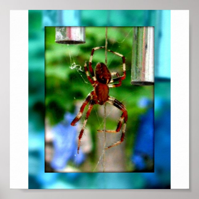 Affiches araignées (Devant)