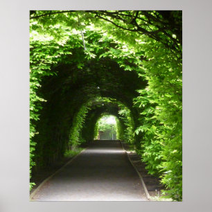 Affiches Arbor de jardin botanique ombragé