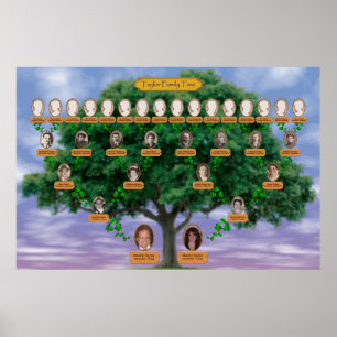 Affiches Arborescence de la famille Taylor