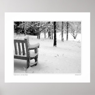 Affiches Arboretum N° 3 de Nichols