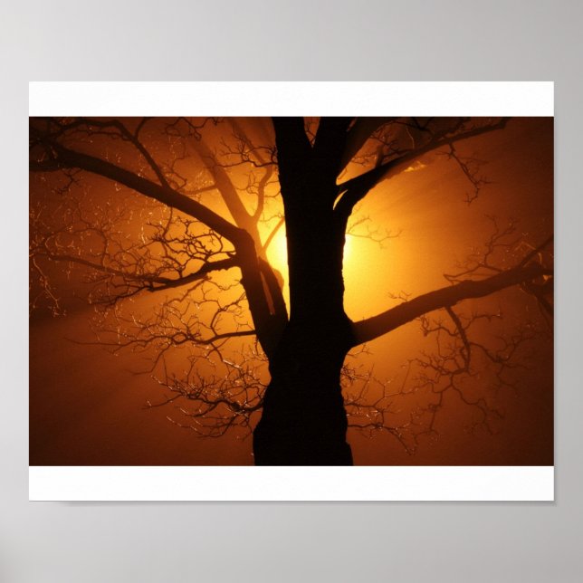 Affiches Arbre (Devant)