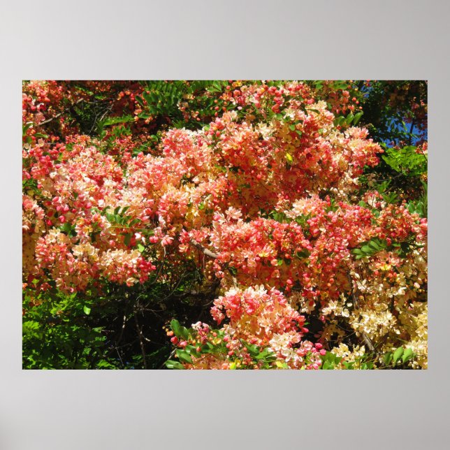 Affiches Arbre à douche arc-en-ciel (Devant)
