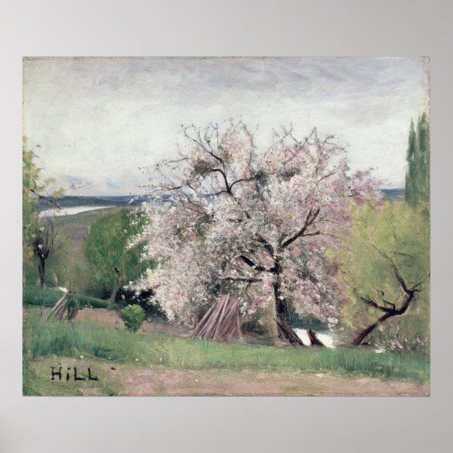 Affiches Arbre à Fruits en Blossom, Bois-le-Roi (Devant)