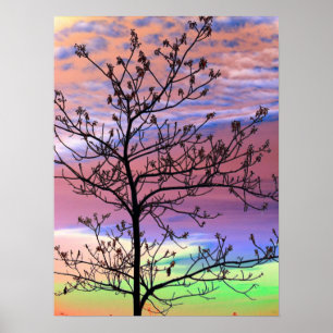 Affiches Arbre arc-en-ciel Sky Barren