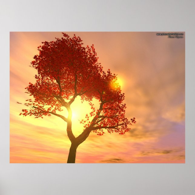 Affiches Arbre au coucher du soleil (Devant)
