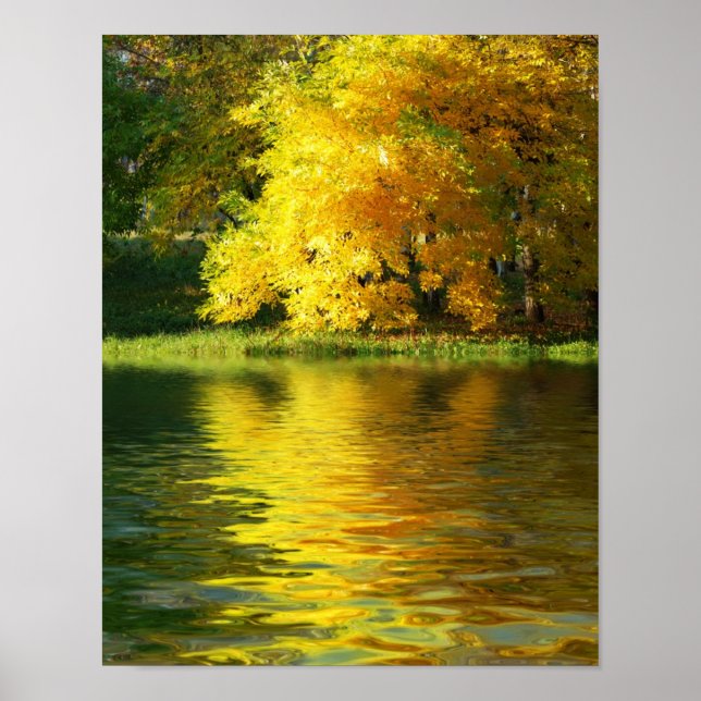 Affiches Arbre d'automne dans la forêt avec réflexion (Devant)