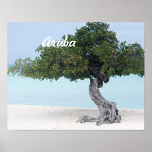 Affiches Arbre de Divi Divi