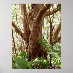 Affiches Arbre de goyave fraise et palmiers