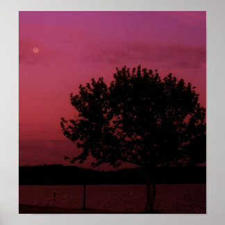 Affiches Arbre de passion