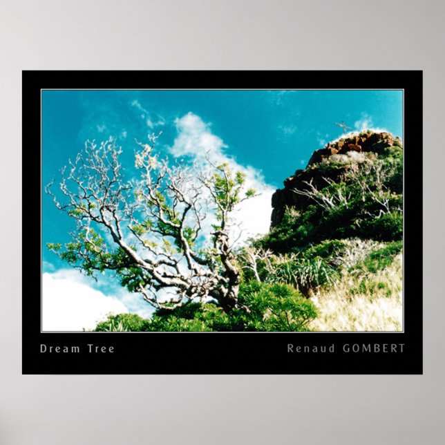 Affiches Arbre de rêve (Devant)