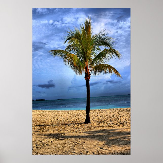 Affiches Arbre des îles (Devant)