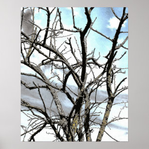 AFFICHES ARBRE D'HIVER