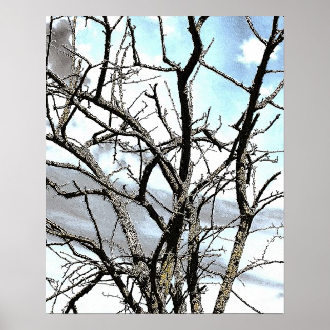 AFFICHES ARBRE D'HIVER (Devant)