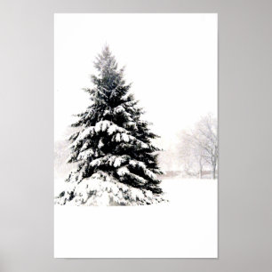 Affiches Arbre d'hiver