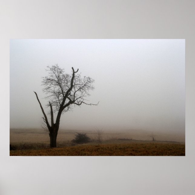 Affiches Arbre d'hiver brumeux prairie (Devant)