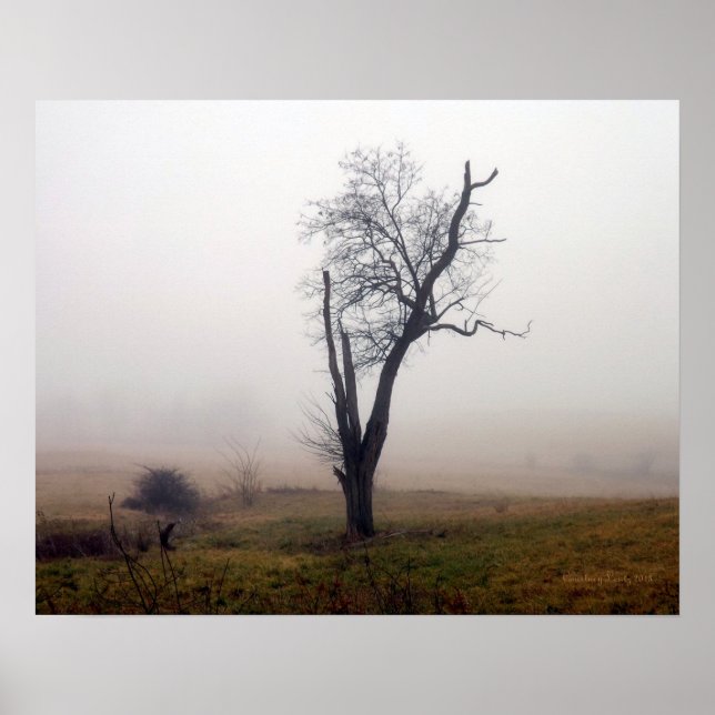 Affiches Arbre d'hiver dans la prairie de Foggy #2 (Devant)