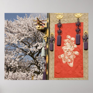 Affiches Arbre en fleurs de cerisier et tapisserie de soie