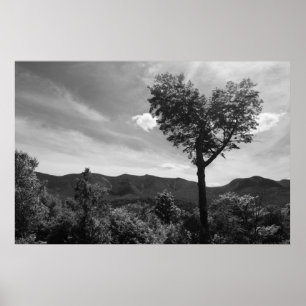 Affiches Arbre en forme de coeur