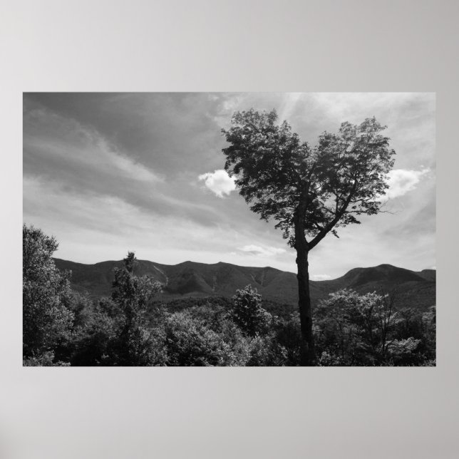 Affiches Arbre en forme de coeur (Devant)