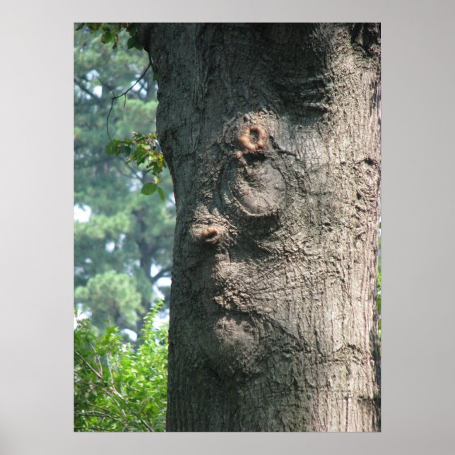 Affiches Arbre expressif (Devant)