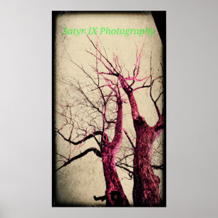 Affiches Arbre mort