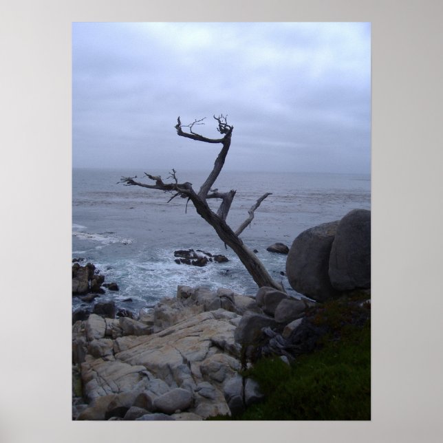 Affiches arbre mort monterey (Devant)