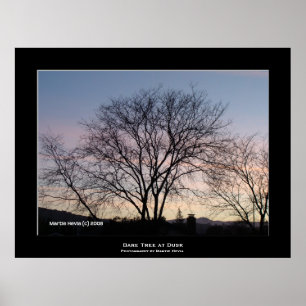 Affiches "Arbre nu à Dusk"
