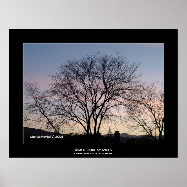 Affiches "Arbre nu à Dusk" (Devant)