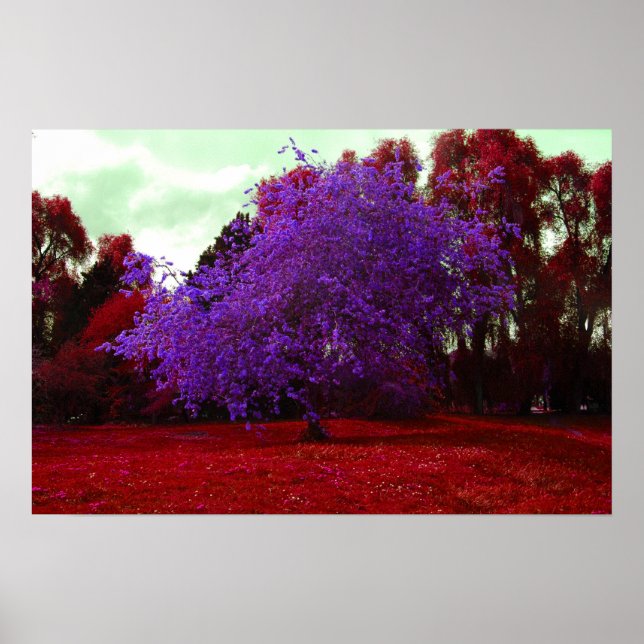 Affiches Arbre psychédélique (Devant)