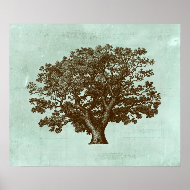 Affiches Arbre spa IV (Devant)